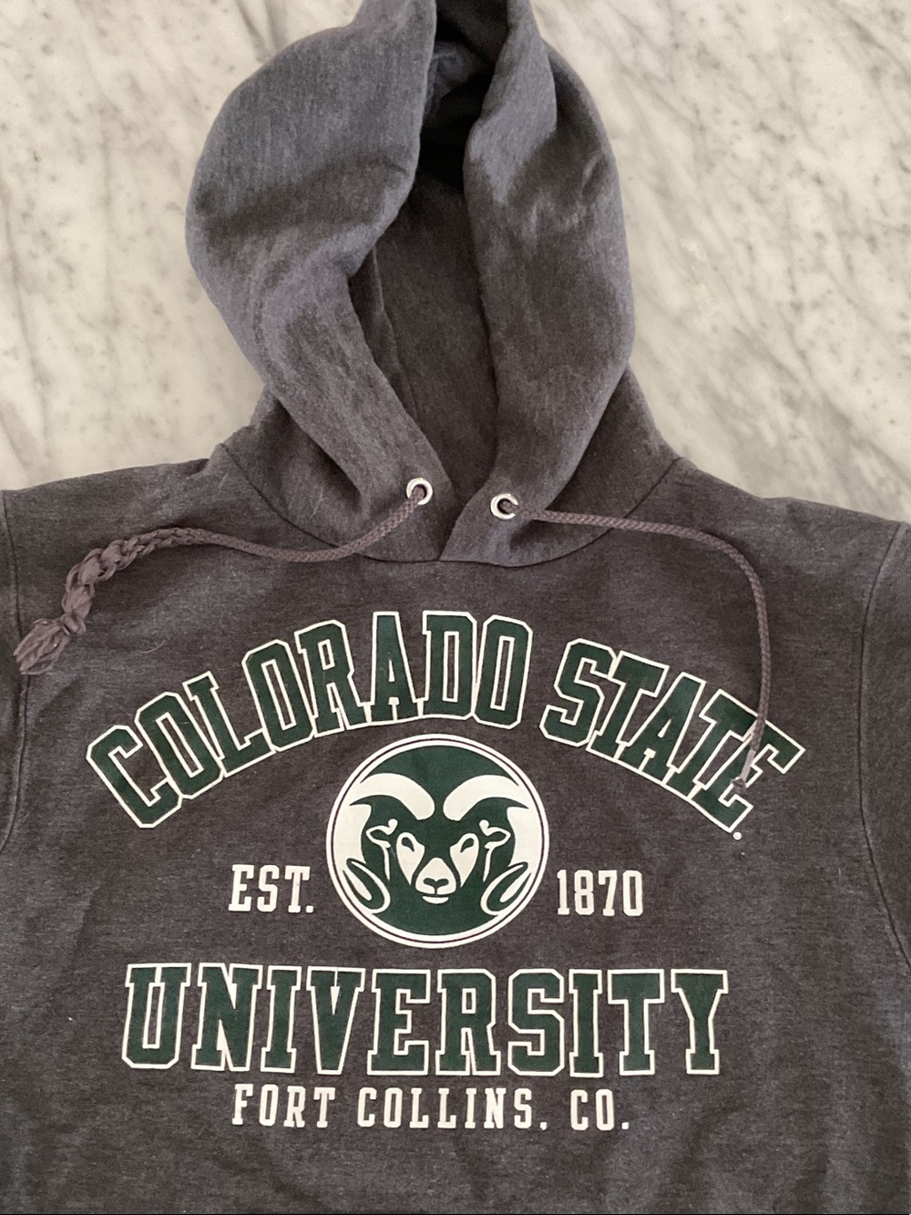 Champion Colorado State University Hoodie Sweatshirt Kids Large CSU Rams